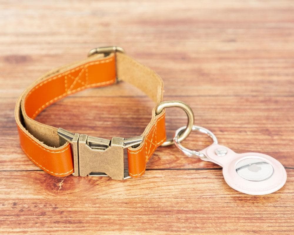 Scooby Genuine Leather Dog Collar