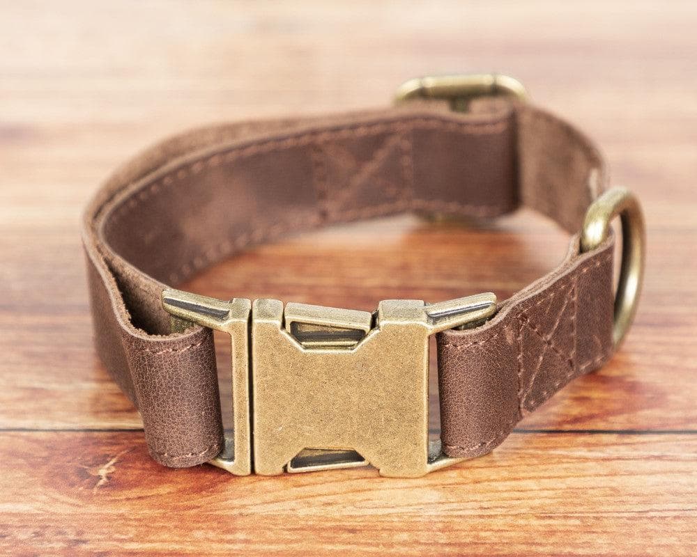 Scooby Genuine Leather Dog Collar