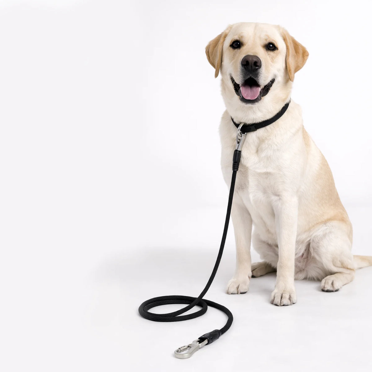 Laisse corde en polypropylène pour chien - 8 mm/150 cm